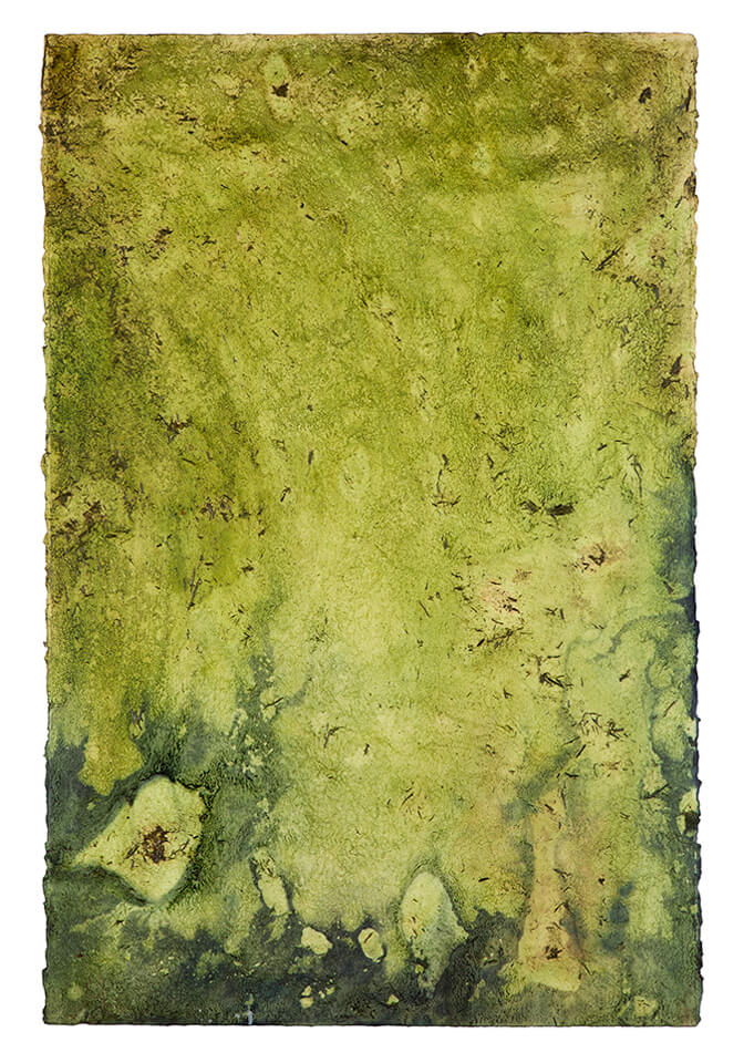 chontaduro papel 17.jpg